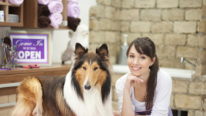 Neat, clean grooming salon with groomer and sheltie depicting professional presentation of a dog grooming salon
