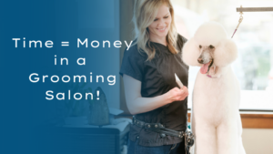 Professional certified dog groomer grooming a white standard poodle to depict Time = Money in a pet grooming salon