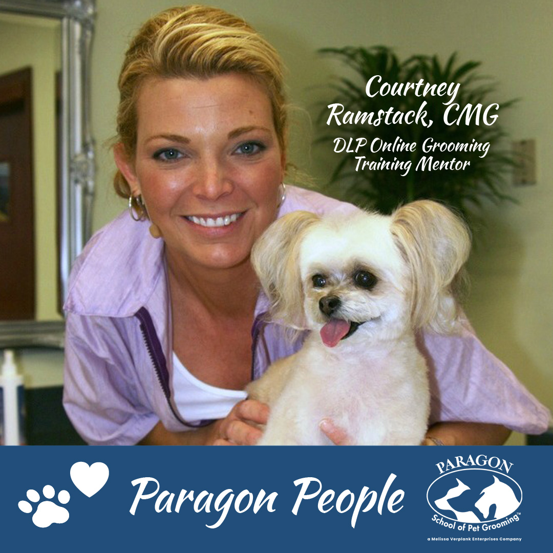 Photo inspiration: Gallery Detail: Paragon S Online Dog Grooming Program Welcomes Courtney Ramstack To