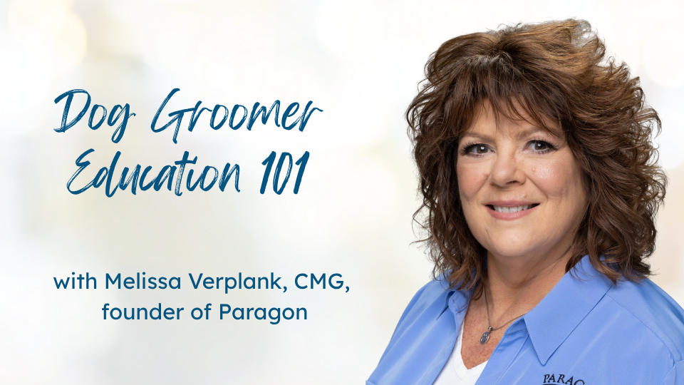 image of paragon pet school founder melissa verplank, cmg, who discusses dog groomer education
