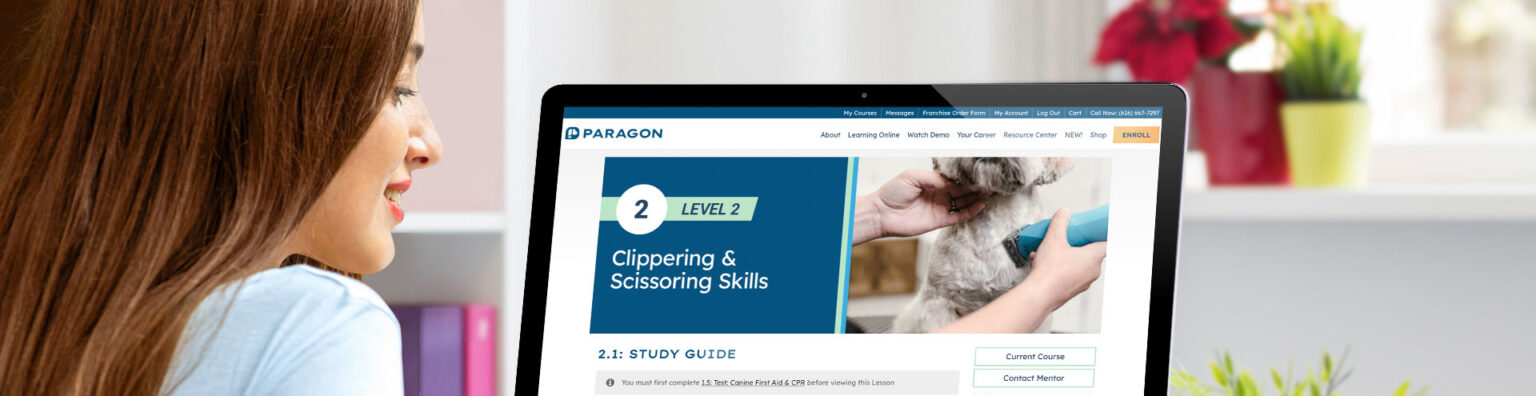 Beautiful view of Feline Grooming Certification Programs Online