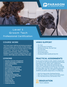 Paragon professional certified groomer course summary depicted by groom tech bathing a dog