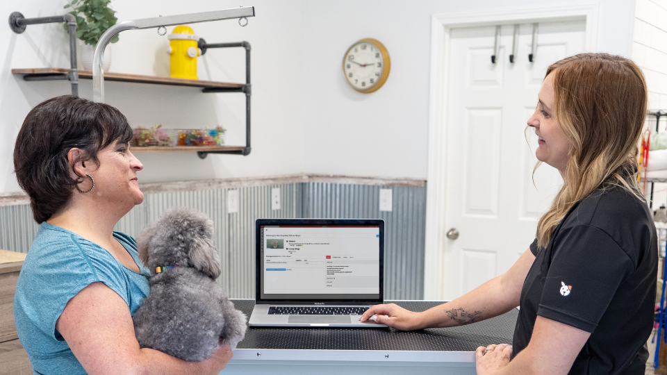 Rebooking dog grooming appointment shown by customer with poodle and dog groomer in front of computer