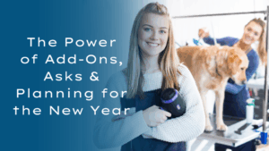 Paragon Pet School dog groomer training depicted by Busy dog grooming salon with groomer in background and bather - dryer in front