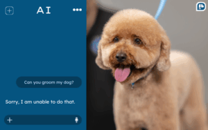 A fluffy tan dog with a round teddy-bear style haircut stands on a grooming table with a blue grooming loop attached. On the left side of the image, a chat-style screen shows a message asking, “Can you groom my dog?” and an AI response saying, “Sorry, I am unable to do that.”