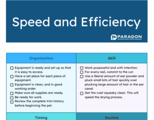 Speed and Efficiency PDF Download