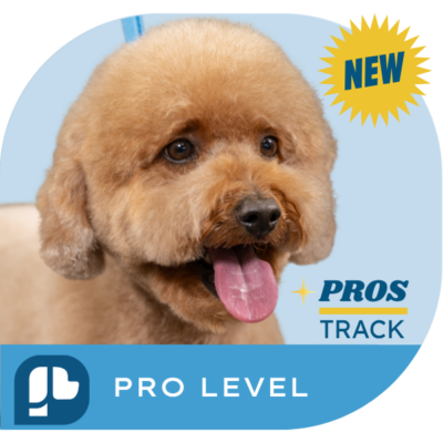 Pre-Register: Pro Level - Advanced Stylist Certificate - 8/3