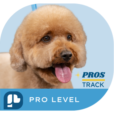 Pro Level - Advanced Stylist Certificate