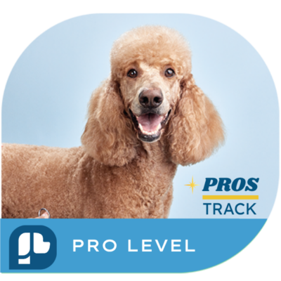 Pro Level -  Breed Standard Stylist Certificate