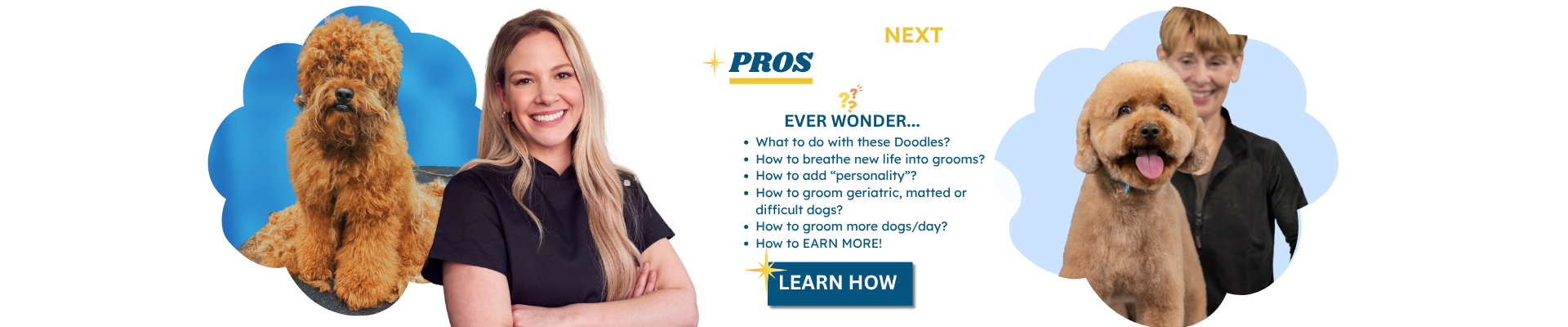 ParagonPros