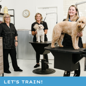 Team of professional groomers in grooming salon depicting Paragon Pet School's online groomer training and professional development programs
