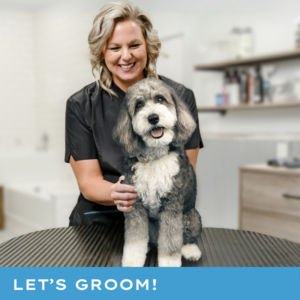 Professional groomer with doodle on grooming table depicting Paragon Pet School's groomer training online certification programs