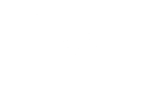 Live Webinar Depiction